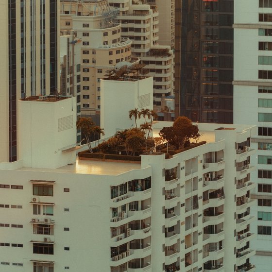 Rooftop oasis